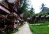 Eksotisme Budaya Megalitik di Kete’ Kesu Toraja