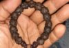 Mengenal Munta Bassi dan Tuahnya Gelang Munta Bassi'. (foto: ist/*)