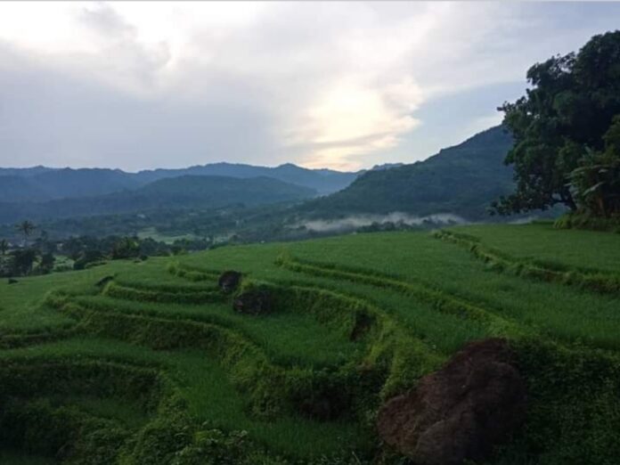 Alam Desa Timpuseng. (foto: ist/*)