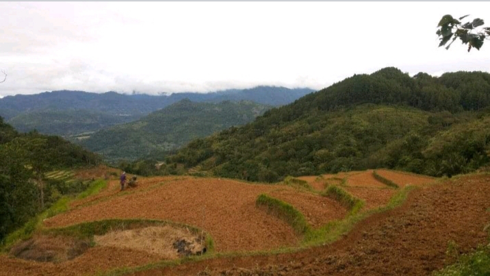 Alam Desa Timpuseng. (foto: ist/*)
