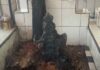 Penelusuran Toponimi Kuno UNHAS dan BRIN Temukan Nisan Type Aceh Somba Labakkang dari Pertengahan Abad 18 Makam salah satu Somba Labakkang bertype Nisah Aceh, menandai penelusuran Toponimi Kuno oleh UNHAS dan BRIN dalam wilayah Pangkep (foto: ist/*)